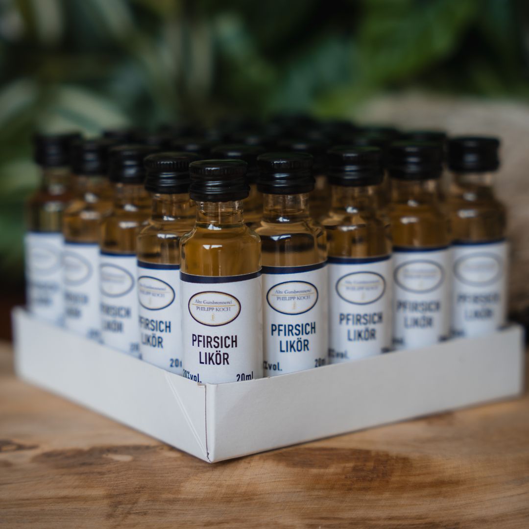 Pfirsich Likör Shots | 25 x 2CL
